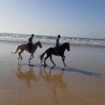 Gallery Thumbnail 2